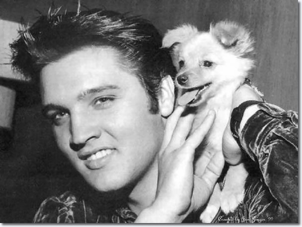 Elvis Presley and 'Sweet Pea' : October 18, 1956.